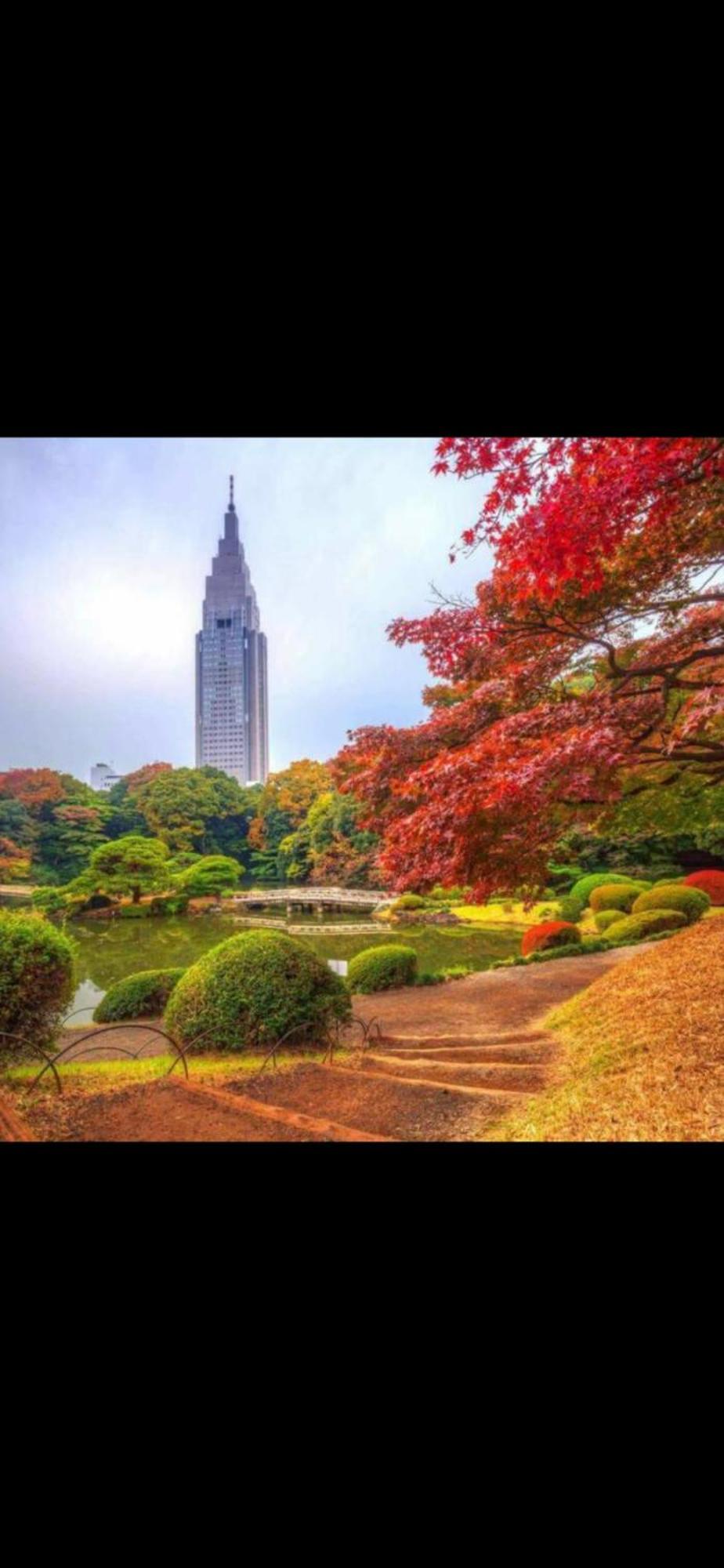 新宿庭院の屋-Shinjuku Garden Home -28 Square Meters King Size Bed Garden Room Tokyo Eksteriør bilde